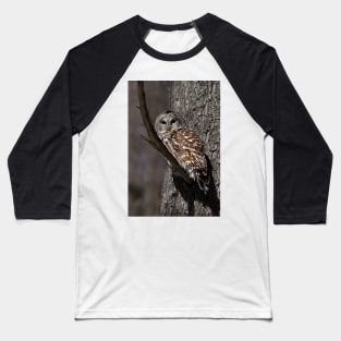 Barred Owl - Low, Quebec Baseball T-Shirt